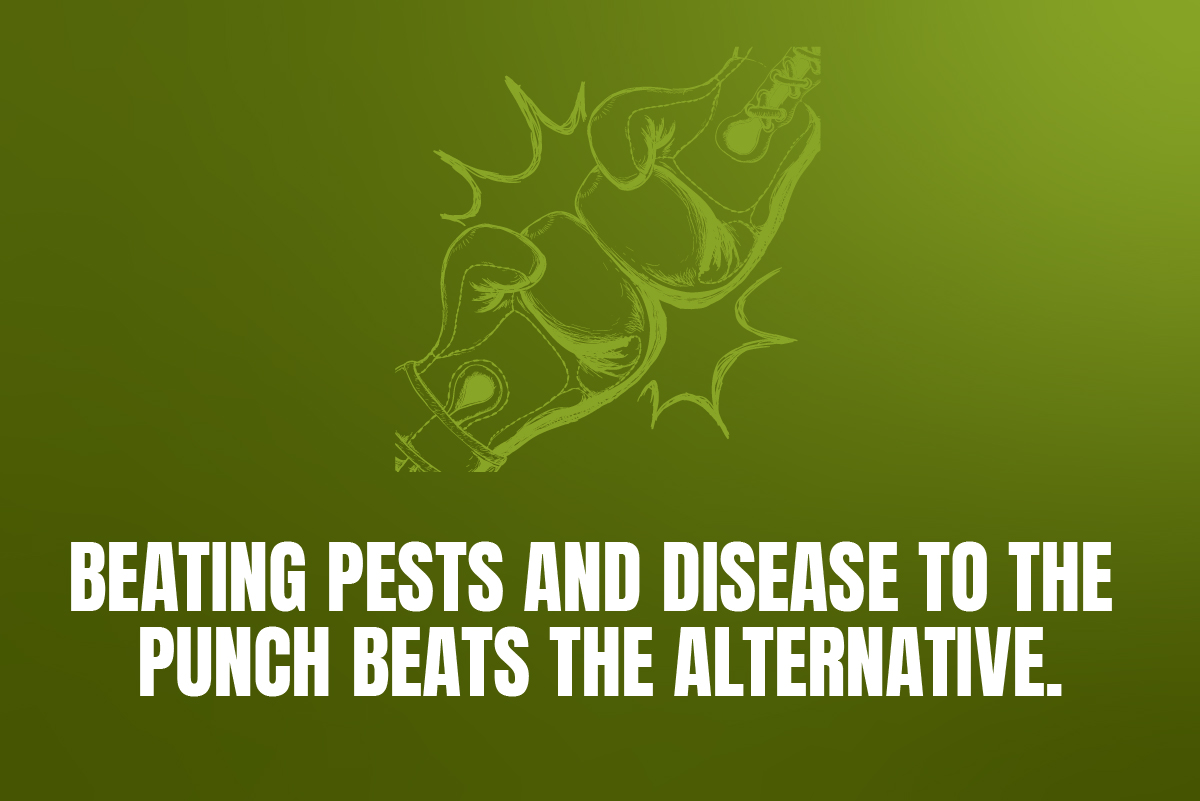 Beating pests and disease to the punch beats the alternative.