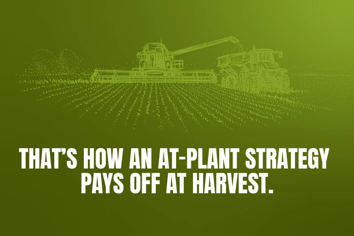 That's how an At-Plant strategy pays off at harvest.